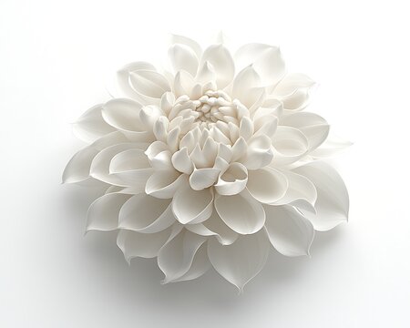 White ceramic dahlia, close-up, studio