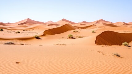 Fototapeta premium Vast Sahara Desert Dunes