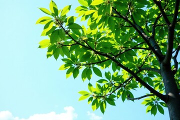Isolated tree branches stretching towards sky, nature, peaceful, greenery