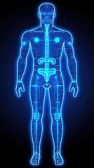 Human anatomy diagram, skeletal system, internal organs