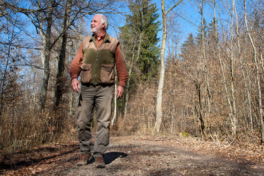 An elderly hiker walks along a sunlit forest path, smiling. Bare trees and bushes hint at early spring, while the sun shines from a clear blue sky, bathing the trail in warm light.
