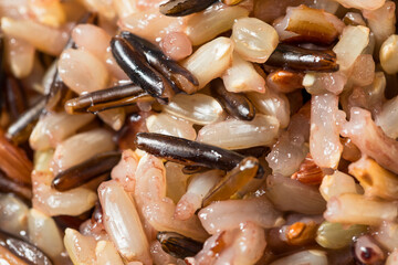 Organic Cooked Wild Rice in a Bowl