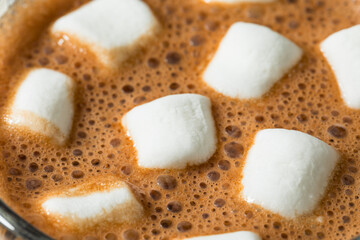 Sweet Warm Homemade Hot Chocolate with Marshmallows