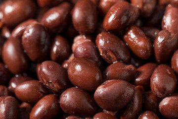 Cooked Raw Canned Black Beans