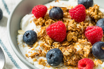 Sweet Healthy Homemade Greek Yogurt with Granola for Breakfast