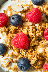 Sweet Healthy Homemade Greek Yogurt with Granola for Breakfast