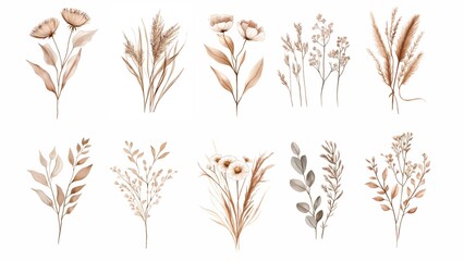 A set of six boho watercolor floral illustrations featuring wildflowers, pampas grass, eucalyptus, and dried flowers