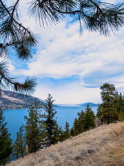 View of Okanagan Lake from a hiking path near Kelowna in British Columbia on a late winter bright...