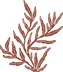Artistic silhouette of seaweed. Hand drawn vector underwater plant printing for your business. Decorative art with algae isolated on white background. Seaweed vector logo. Ocean aesthetic wall art