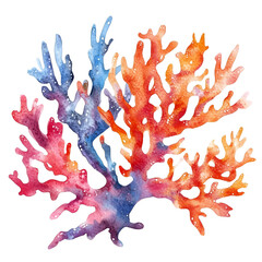 Corals watercolor clipart