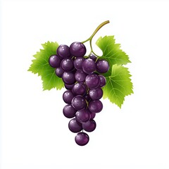 Fototapeta premium Realistic Bunch of Purple Grapes with Green Leaves – Fresh Fruit Illustration