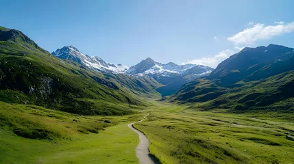 Papier peint photo  Mountain Valley Pathway With Lush Green Meadow And Snow Capped Peaks  © julio