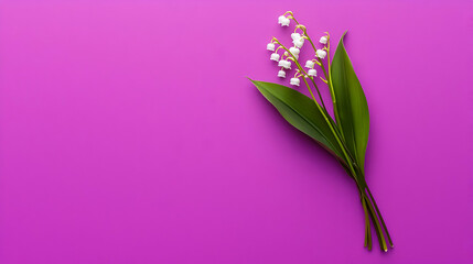 Obraz premium Delicate Lily Of The Valley Bouquet Against Vivid Purple Background