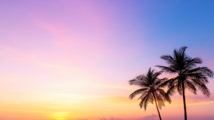 Obraz premium Tropical Sunset Silhouette Palms