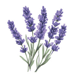 Naklejka premium Purple flower with green stems. The flower is purple and has a green stem.