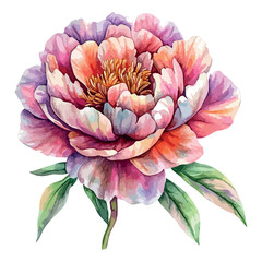 Pink flower with green leaves. The flower is in the center of the image. The stem is thin.