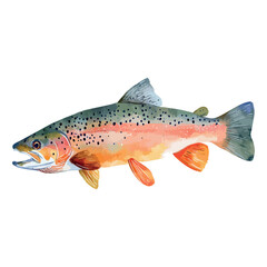 Fish with a brown and orange color. It has a black spot on its head.