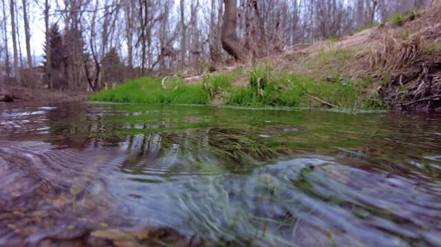 Ega river underwater and surface views in navarre, spain