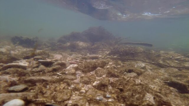 Exploring ega river: underwater and surface perspectives in murieta, navarre