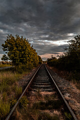 Tory © bulamati