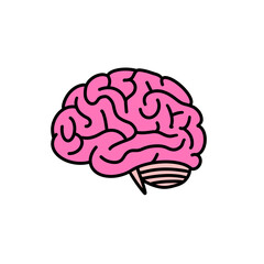 pink brain line art on transparent background