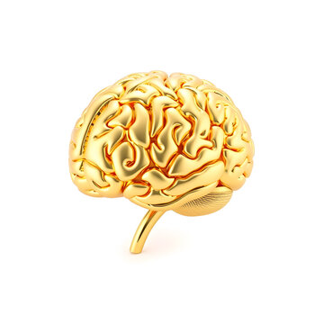 Gold model of human brain isolated on white background. 3d illustration. Generative AI