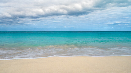 Fototapeta premium Tropical Beach in Bimini, The Bahamas