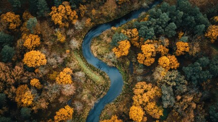 Aerial view of a winding river flowing through an autumnal forest landscape
