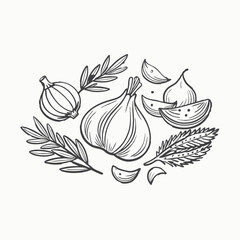 Garlic Collection A Culinary Sketch of Aromatic Bulbs. hand drawn set of garlic. Herbs and spices sketch illustration