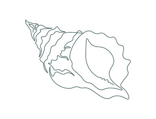 Continuous single line drawing seashell. Sea snail shell. One line icon. Marine life doodle. Simple linear style. Editable stroke. Outline minimalist vector illustration.
