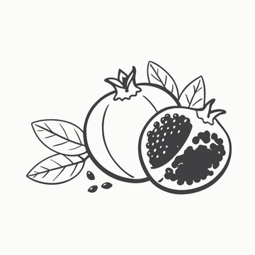 recommend clip art: Pomegranate fruit hand drawn retro. Sweet pomegranate. Delicious fruit. Hand drawn sketch. Vintage style. Vector illustration isolated on color background.