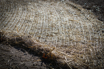 closeup of erosion control net blanket on dirt. partially laid out on soil abstract texture...