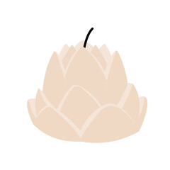 Aroma candle. Beeswax, paraffin, soy, coconut wax candles. Decorative wax spice candles for relax and spa. Zero waste eco gifts Poster invitation flyer banner