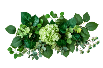 Lush Greenery Arrangement with Hydrangea and Foliage, cut out transparent