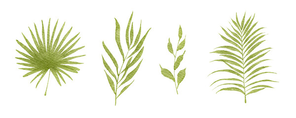 Watercolor green tropical leaves showcasing distinct shapes and textures with a light background