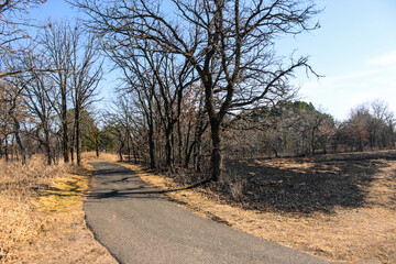 area that recently underwent a controlled or prescribed burn for land management purposes,...