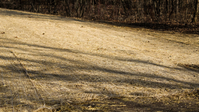 sloped lawn, field or park area covered with biodegradable erosion control blanket or mat. to stabilize soil and promote vegetation growth. land management background design element