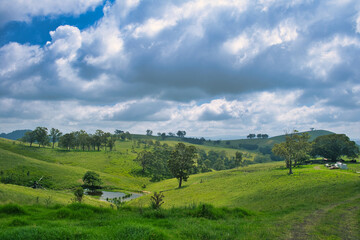 Rural landscape with green meadows, rolling hills, barn, trees and summer clouds in the Hunter Region, New South Wales, Australia
