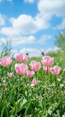 Obraz premium Pink Tulips Spring Meadow Nature Photography
