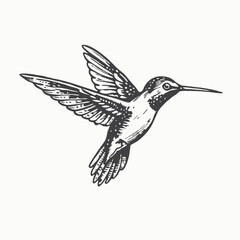 Fototapeta premium Black Color Hummingbird Silhouette Vector Illustration Solid White Background minimal Vector Hand Drawn Illustration Isolated On Transparent Background