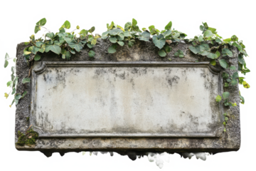 An aged stone plaque, reclaimed by nature's gentle embrace, whispers forgotten stories of time past, its weathered surface adorned with vibrant green ivy, creating a serene tableau.
