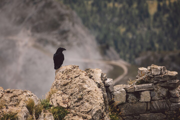 Dolomites