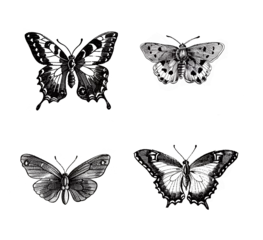 Engraving illustration set of butterflies. Black and white