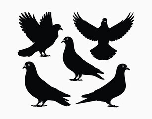 Fototapeta premium Pigeon Silhouette EPS Vector Template on a White Background