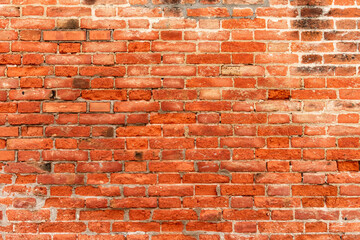 Old brick wall background. Beautiful brick wall.