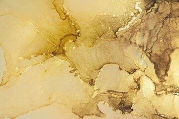 Original artwork photo of marble ink abstract art. High resolution photograph from exemplary original painting. Abstract painting was painted on HQ paper texture to create smooth marbling pattern.