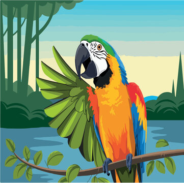 wild, parrot, illustration, vector, tropical, wildlife, drawing, design, bird, isolated, cartoon, graphic, clipart, parrot vector, element, jungle, animal, background, watercolor, macaw, nature, green
