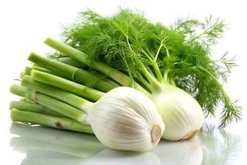 A close-up of a whole fresh fennel bulb with its green stems, lying on a white surface with a reflection.