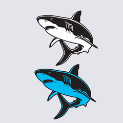 Shark vector art Illustration file