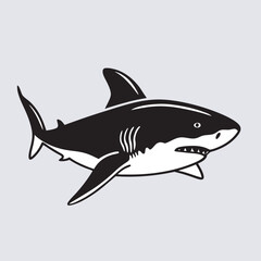 Shark vector art Illustration file